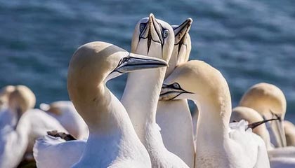 东阳最新的高价医保个人账户余额微信查询方法分享(东阳医保查询个人账户明细怎么查微信教程)