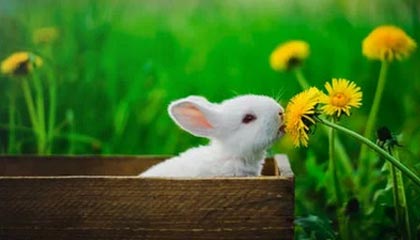 东阳最新的高价医保卡惠民保险代扣怎么取消掉了方法分享(东阳惠民医保怎么报销教程)